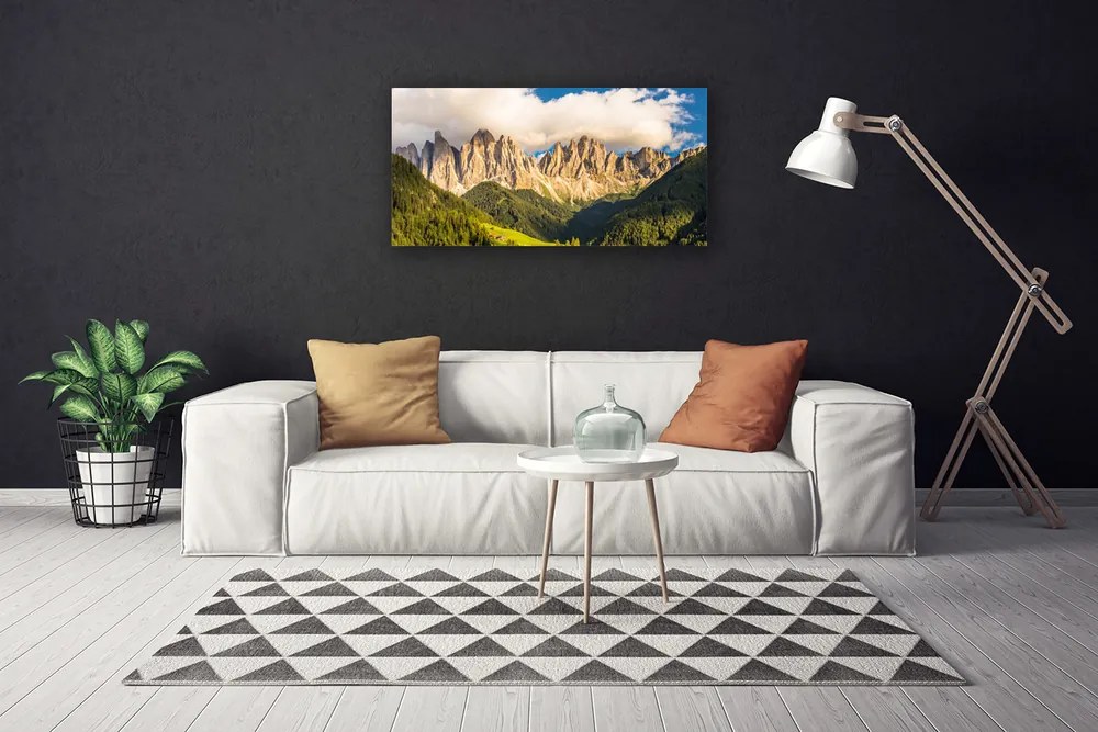 Obraz Canvas Szczyty Gór Chmury Lasy Łąka