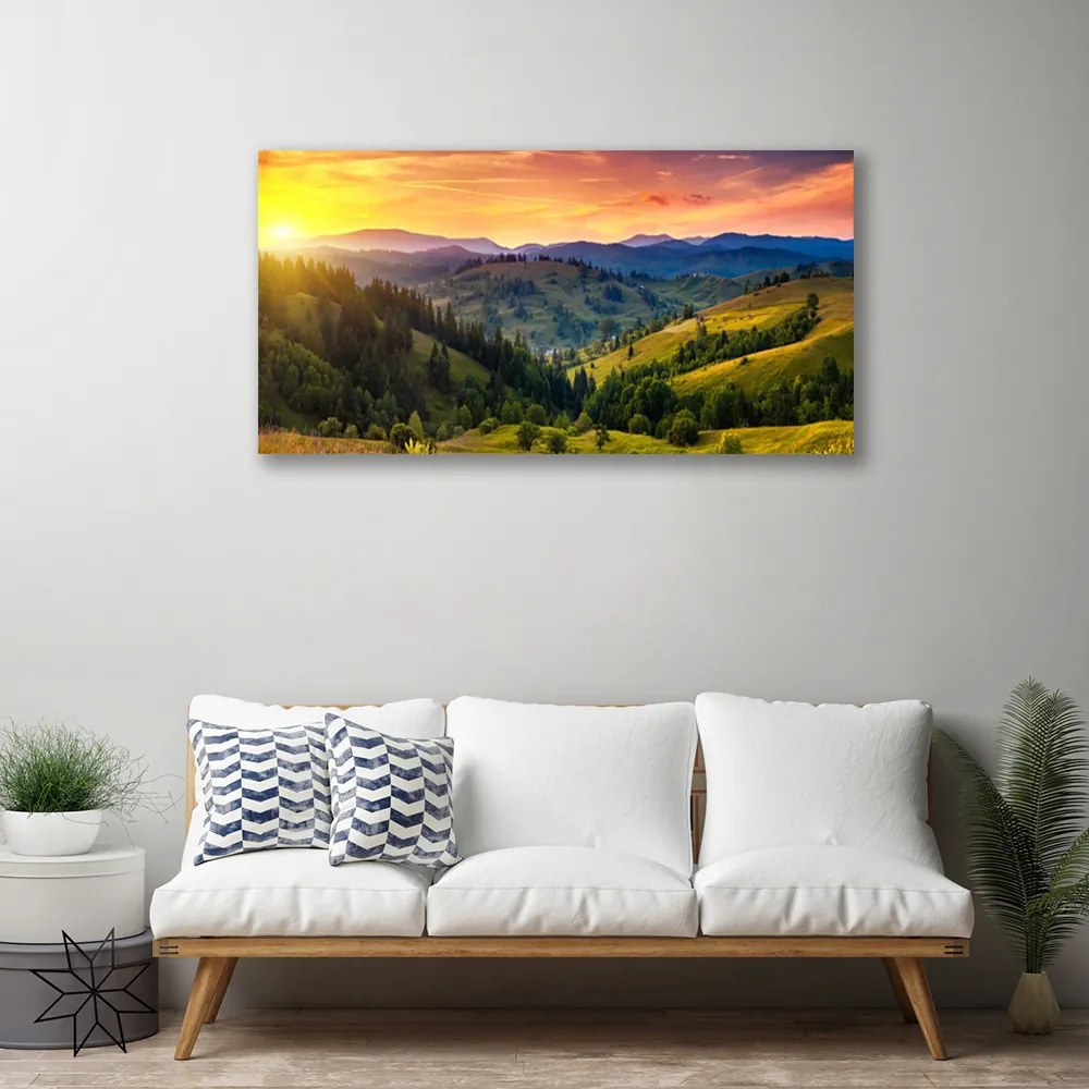 Obraz canvas Egzotyczny Kwiat Plumerii