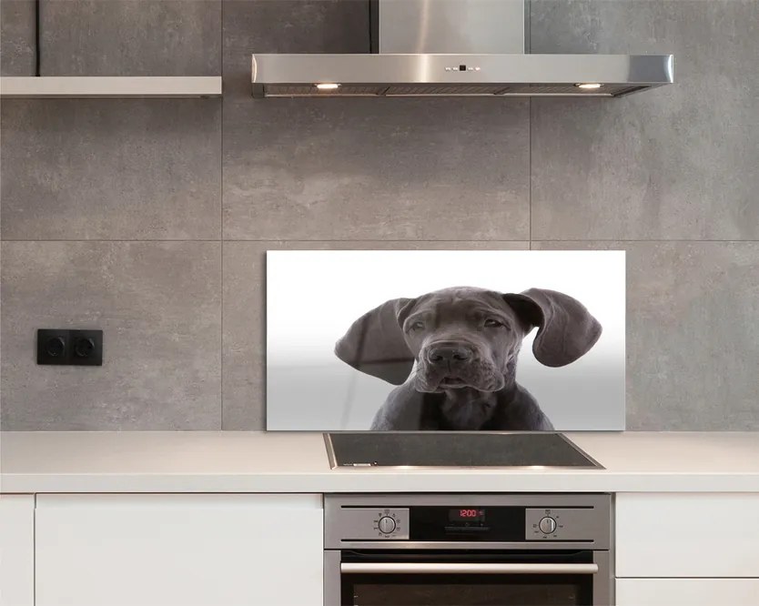 Panel szklany do Kuchni Portret Brązowego Psa