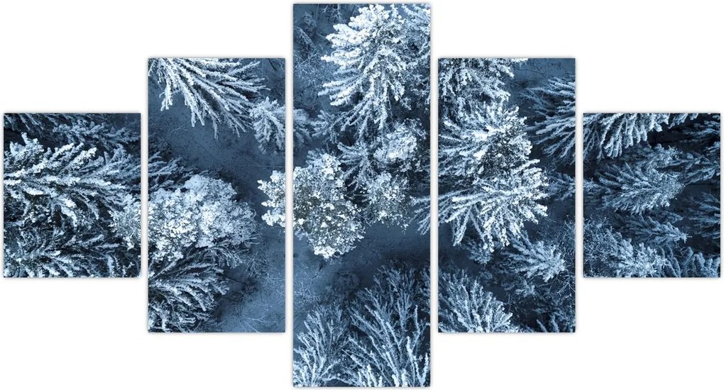 Obraz - Śnieżny las (125x70 cm)