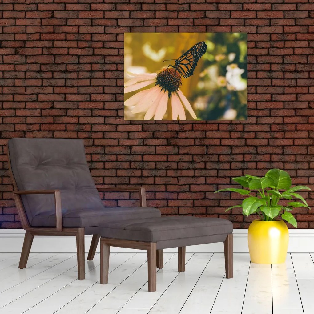 Obraz motyla na kwiatku (70x50 cm)