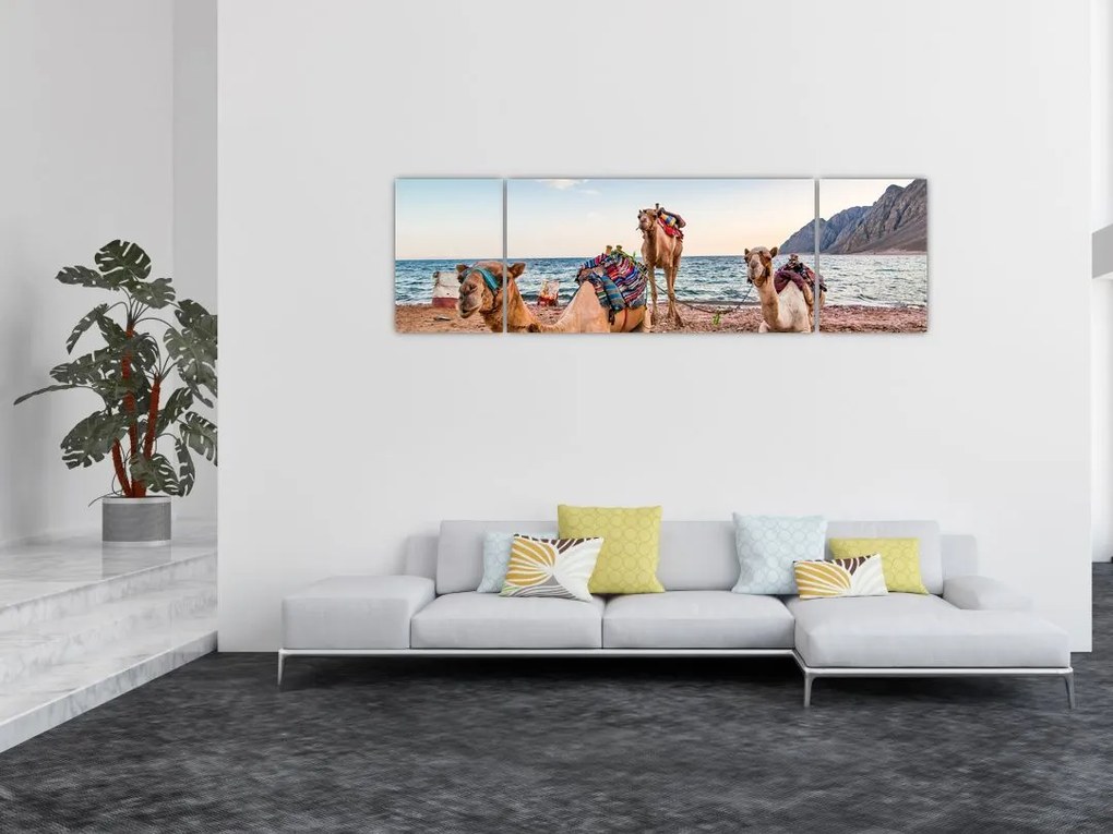 Obraz wielbłądów (170x50 cm)