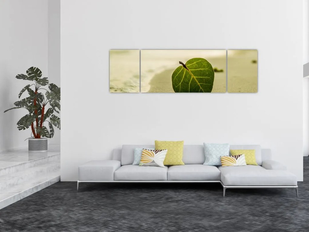 Obraz liścia w piasku (170x50 cm)