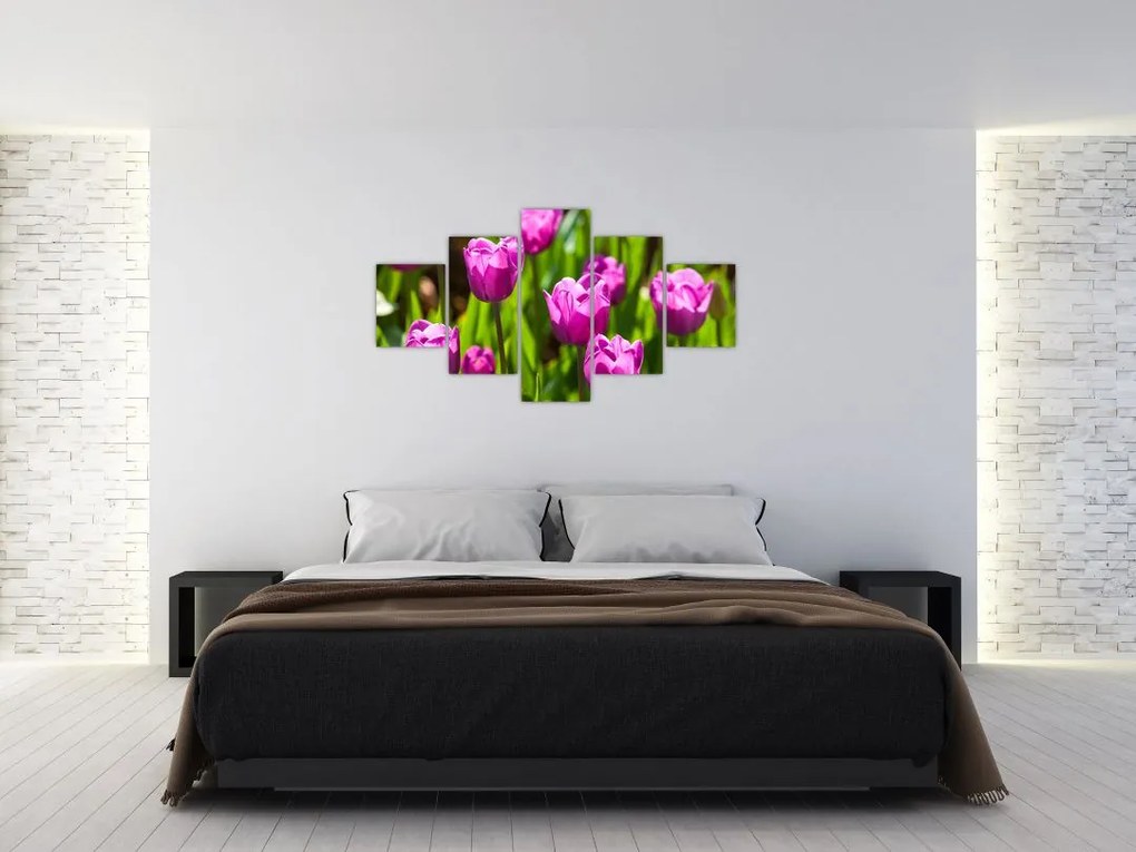 Obraz tulipanów na łące (125x70 cm)