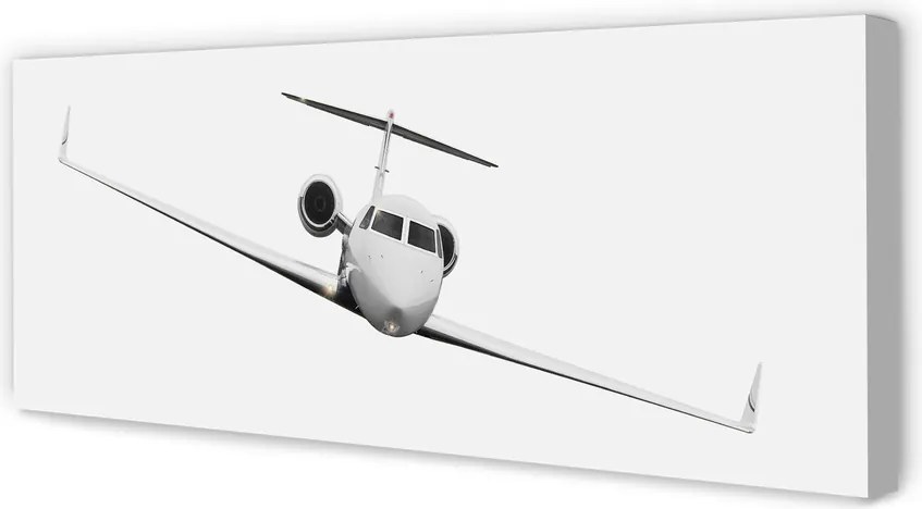 Obraz drukowany na płótnie Sylwetka Samolotu pod Niebem