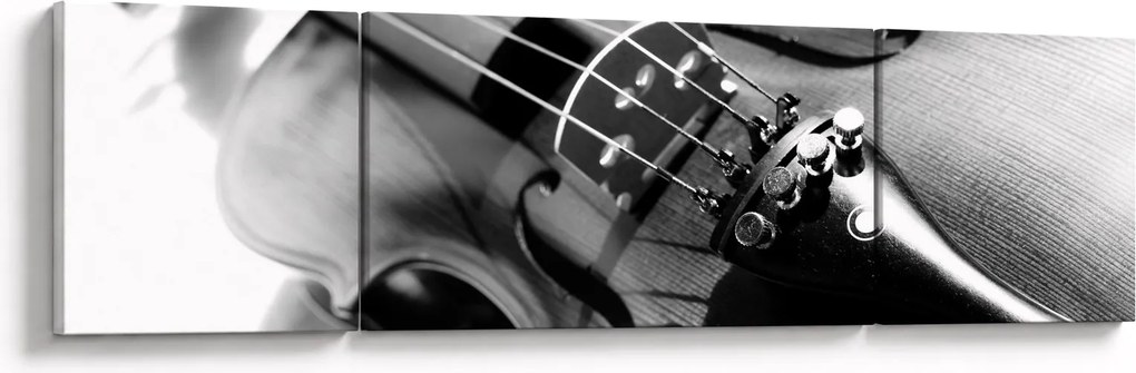 Obraz - Skrzypce (170x50 cm)