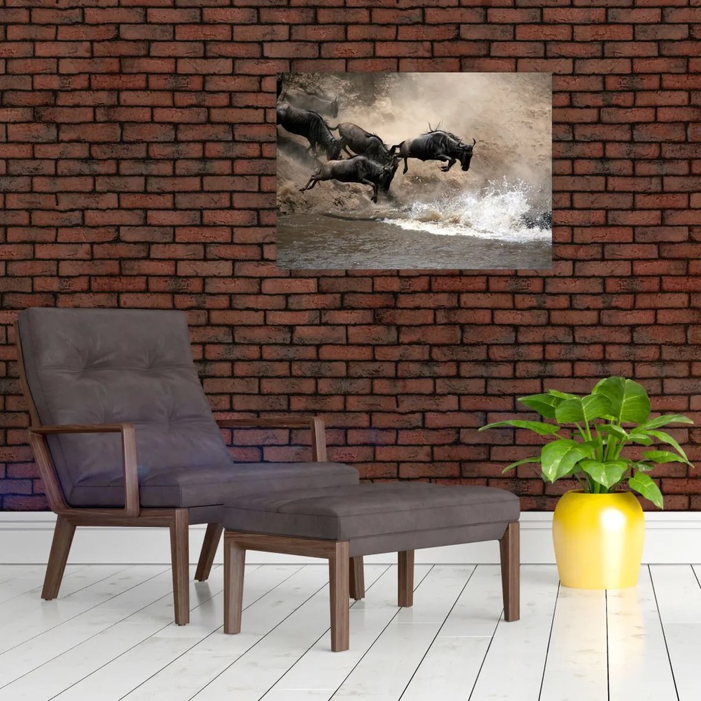 Obraz - Stado antylop gnu (70x50 cm)