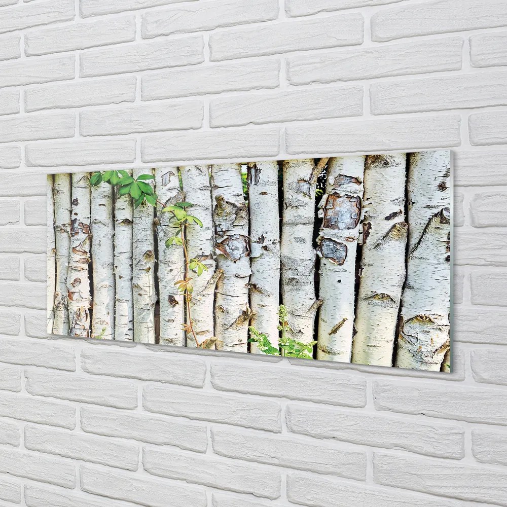 Panel szklany do Kuchni Zielone Liście Brzozy