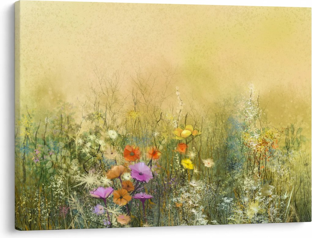 Obraz - Malowana łąka (70x50 cm)