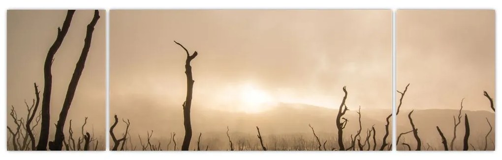 Obraz - Nagie drzewa (170x50 cm)