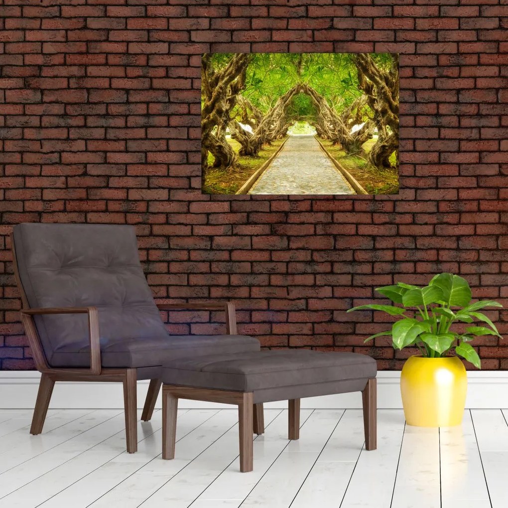 Obraz na szkle - Żywy tunel plumerii (70x50 cm)
