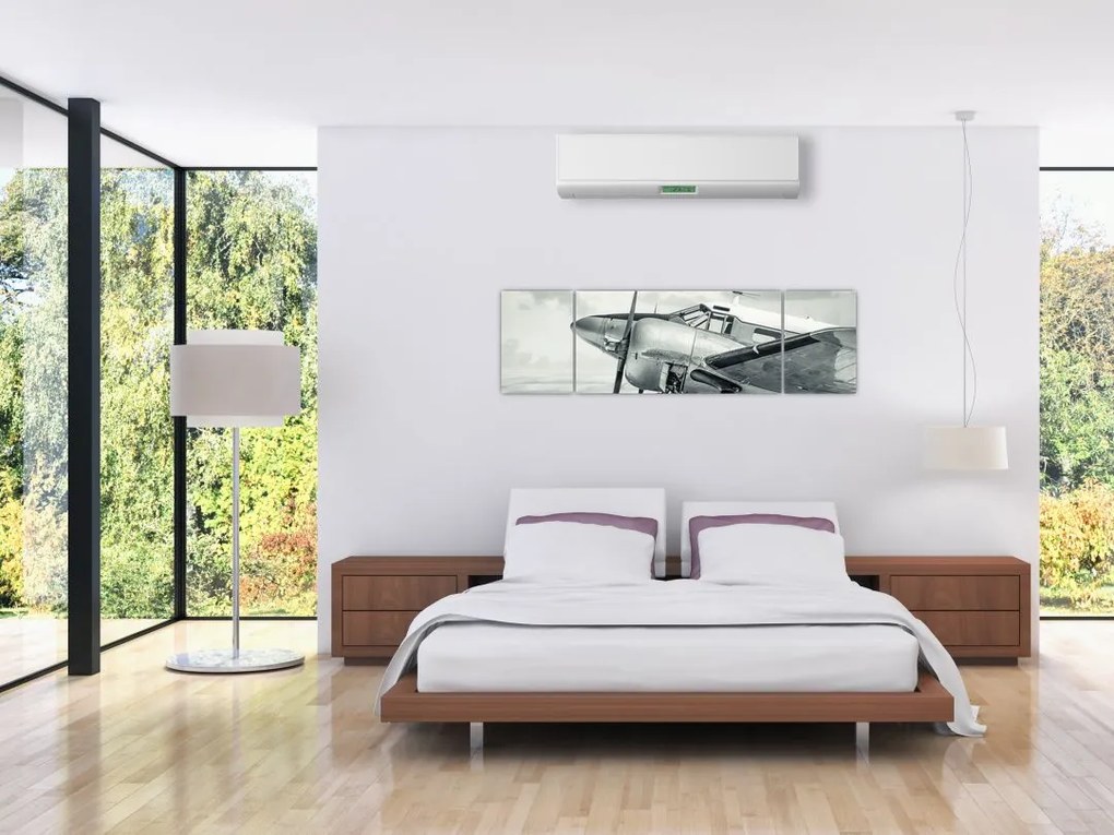 Obraz - Samolot (170x50 cm)