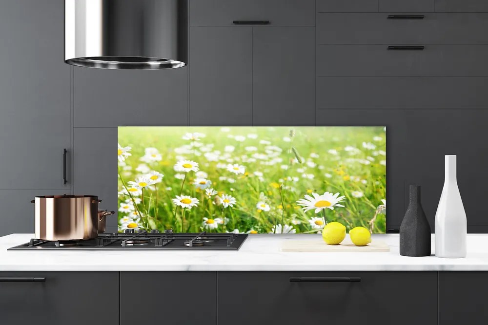 Szkło do Kuchni na Ścianę Polana Białych Stokrotek