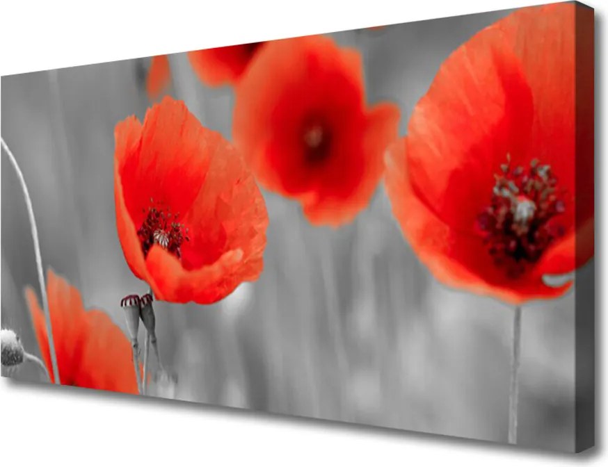Obraz canvas Czerwone Maki w Polu