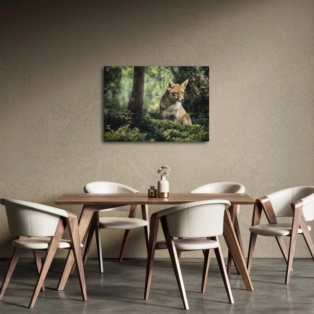 Obraz lisa (70x50 cm)