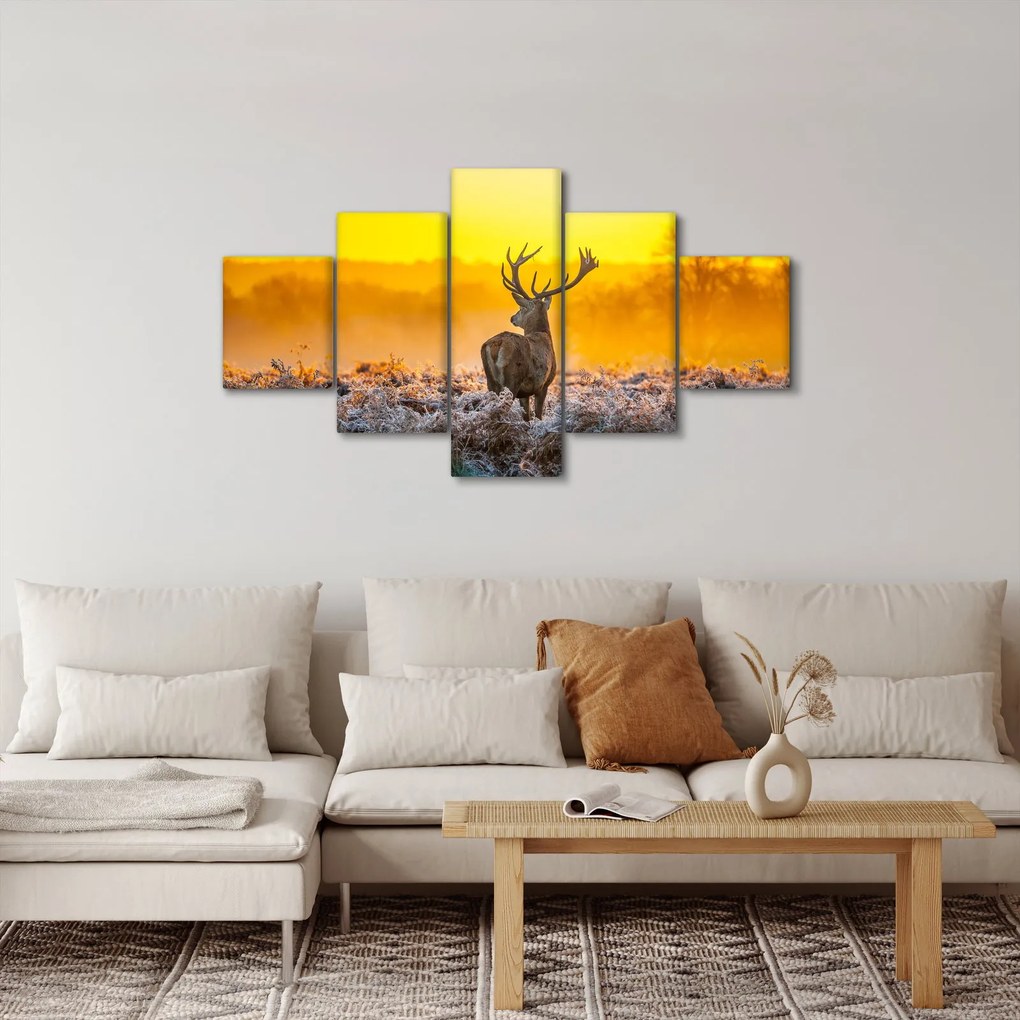Obraz - Jeleń o wschodzie słońca (125x70 cm)