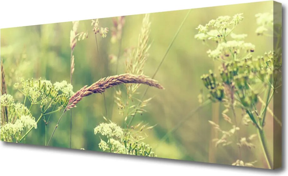 Fotoobraz na płótnie Surowy Urok Polnej Flory