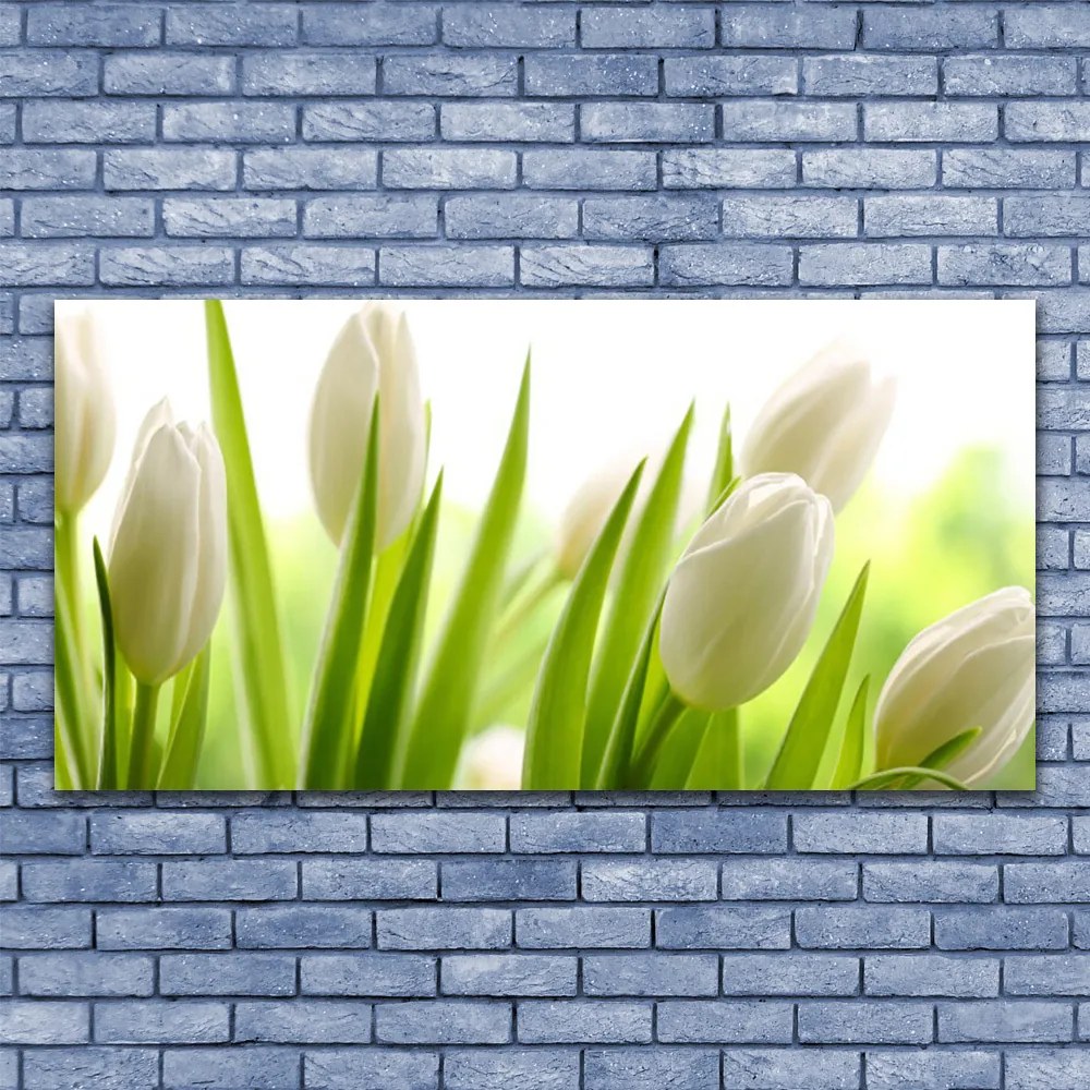 Obraz canvas na ścianę Tęczowy Dywan Tulipanów