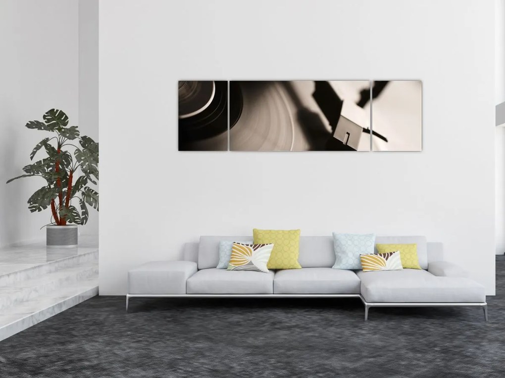 Obraz - Płyta gramofonowa (170x50 cm)