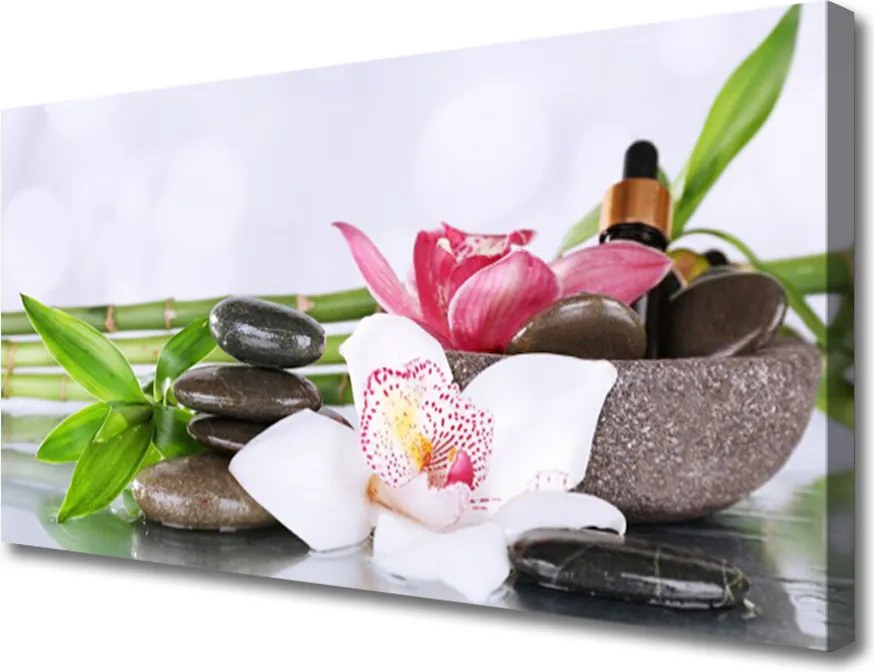 Duży obraz na płótnie Pływające Płatki na Tafli Wody