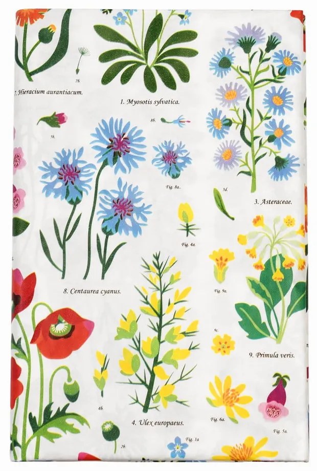 Obrus z papieru 120x180 cm Wild Flowers – Rex London