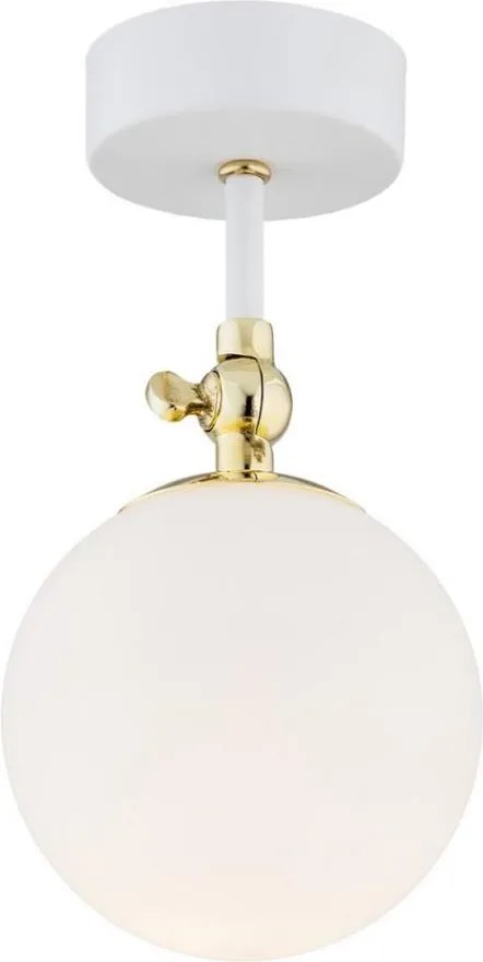 Argon 4002 - Łazienkowy plafon LATINA 1xE14/7W/230V IP44 biały/złoty