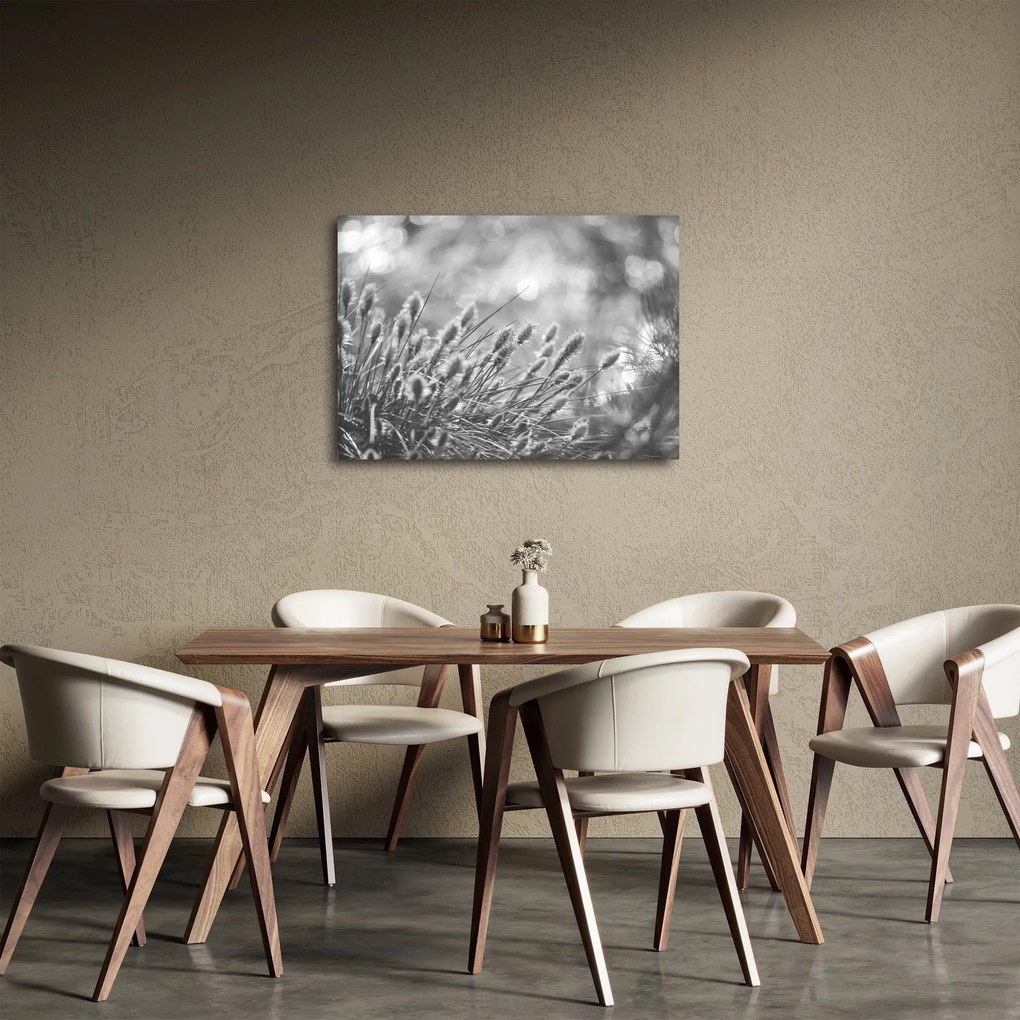 Obraz - Beżowa miękka trawa N⁰1 (70x50 cm)