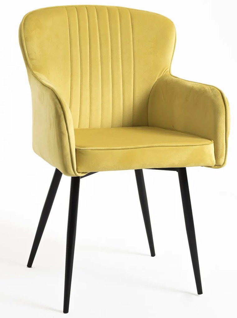 Aksamitne krzeso Dalye