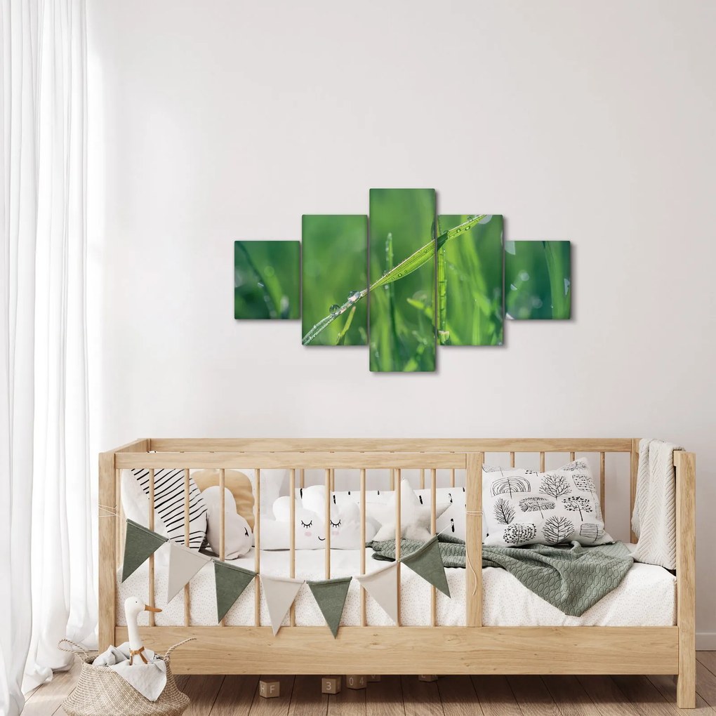 Obraz kropli rosy (125x70 cm)
