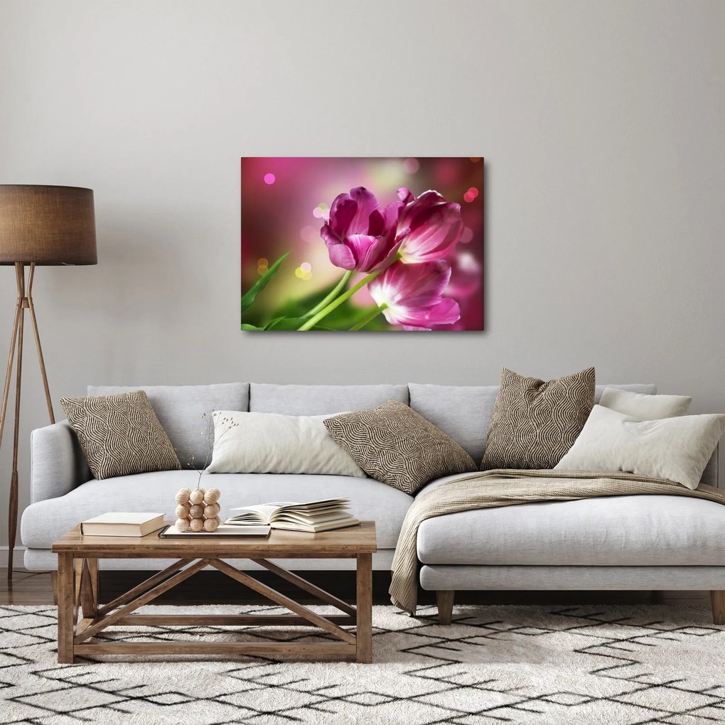 Obraz różowych tulipanów (70x50 cm)