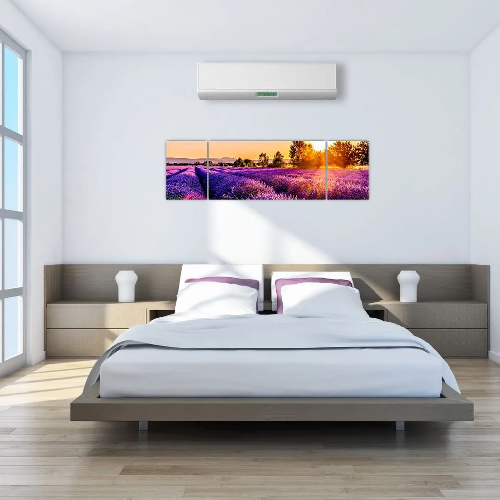 Obraz lawendowego pola (170x50 cm)