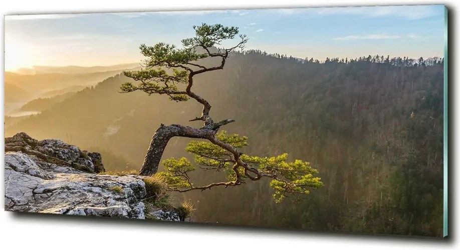 Foto obraz szklany Sokolica Pieniny