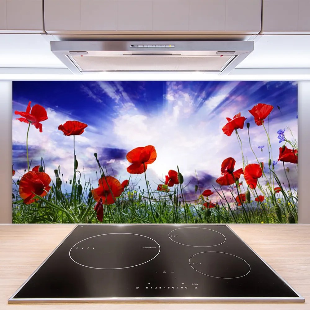 Szkło Ozdobne do Kuchni Czerwone Maki w Polu