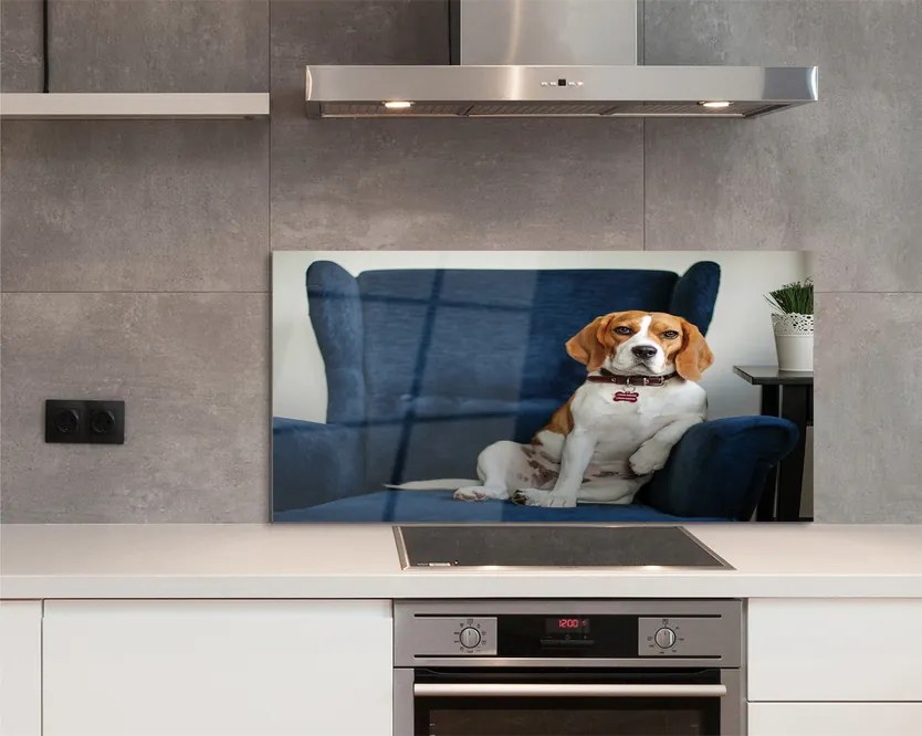 Panel Kuchenny Szklany Spokojny Siedzący Pupil