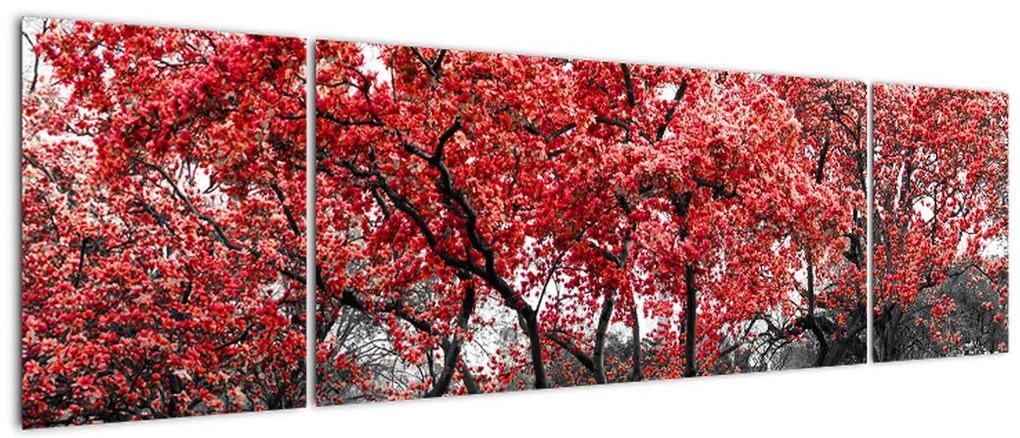 Obraz - Czerwone drzewa, Central Park, New York (170x50 cm)
