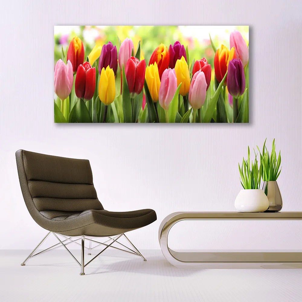 Obraz Canvas Tulipany Kwiaty Natura