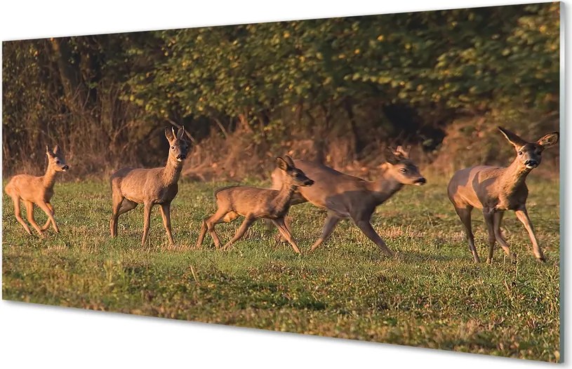 Panel Szklany Jelenie na Polu o Wschodzie Słońca