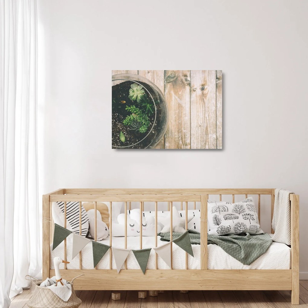 Obraz na szkle sukulentów w szkle (70x50 cm)
