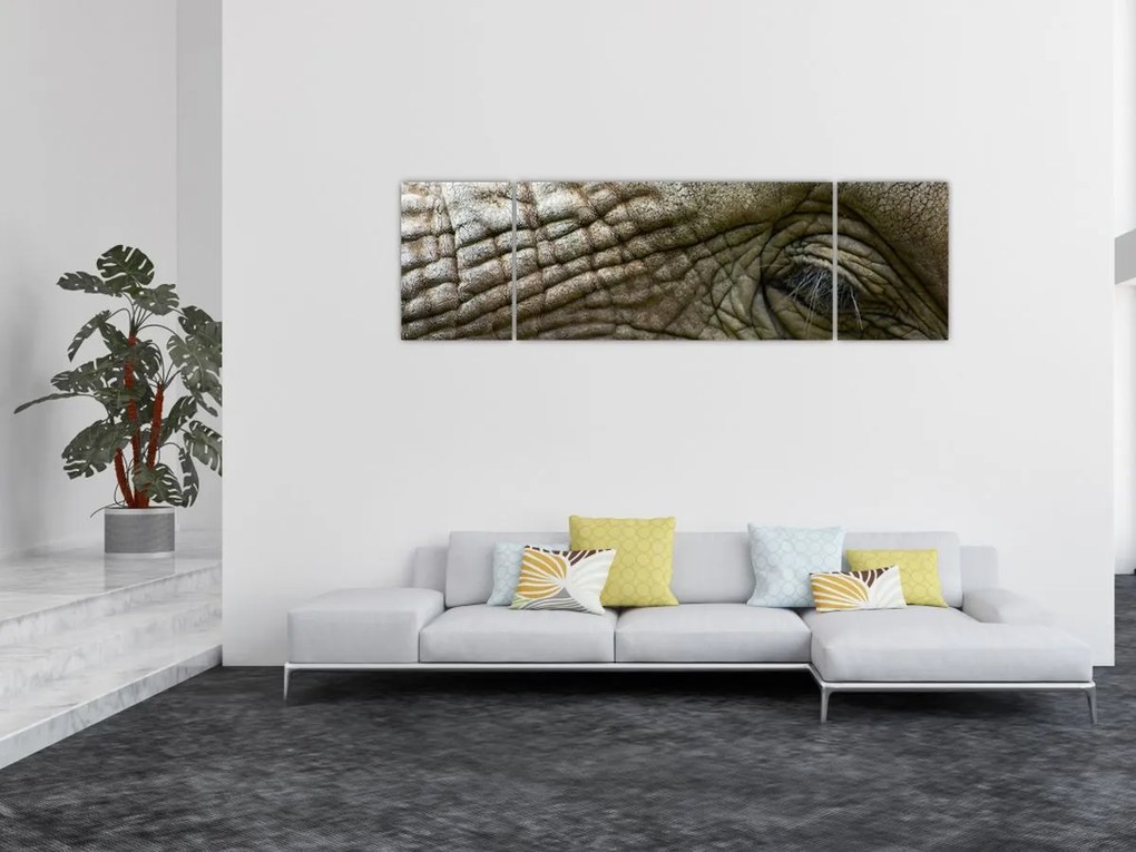 Obraz - Zbliżenie na stare oko słonia (170x50 cm)