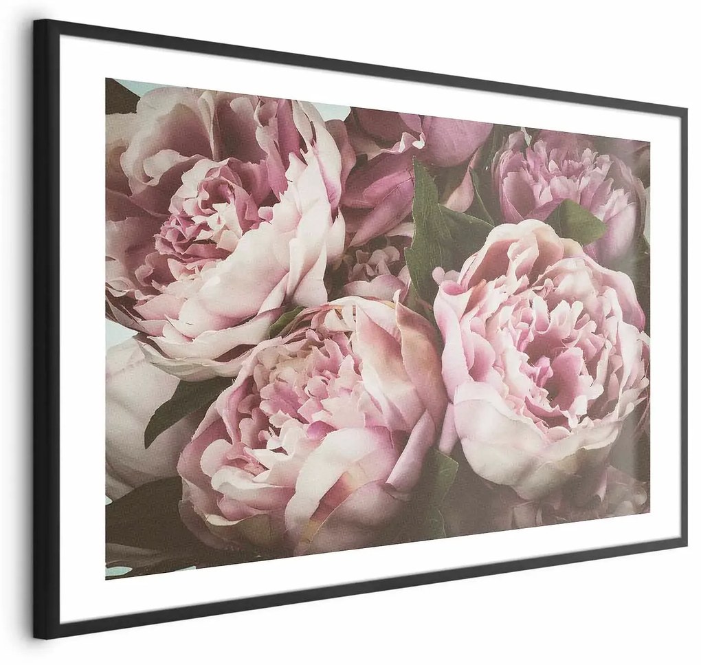 Plakat Różowe piwonie 60x40 cm z ramą czarną z marginesem ARTGEIST B