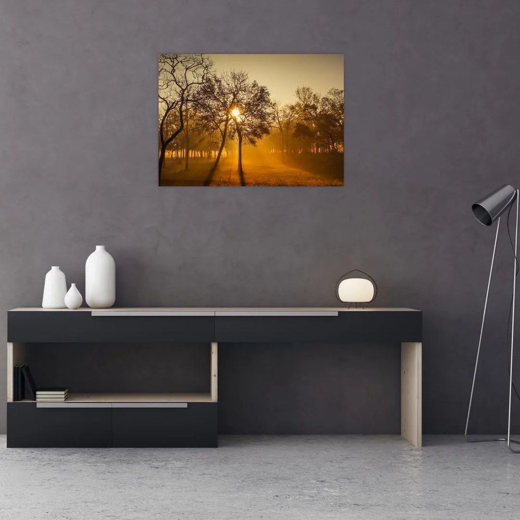 Obraz wschodu słońca (70x50 cm)
