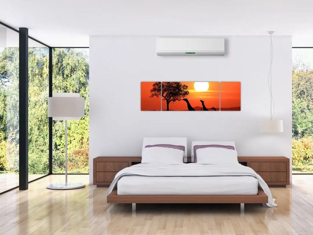 Obraz żyraf o zachodzie słońca (170x50 cm)