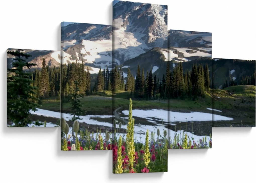 Obraz - Mount Rainier (125x70 cm)