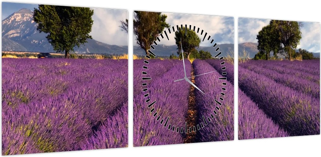 Obraz - Pole lawendy i góry (z zegarem) (90x30 cm)