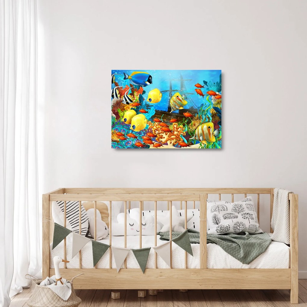 Obraz na szkle - Kolorowa rafa koralowa (70x50 cm)