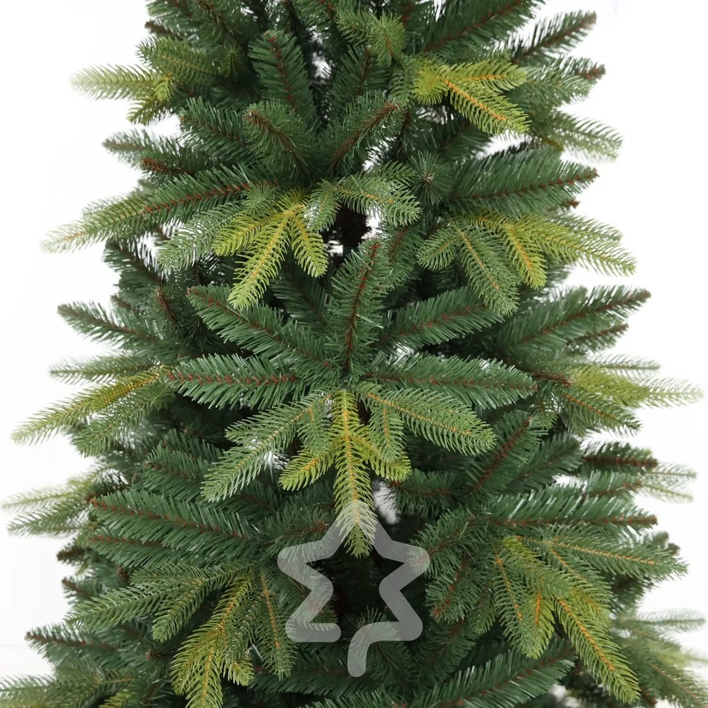 Jodła Kangri 210 cm