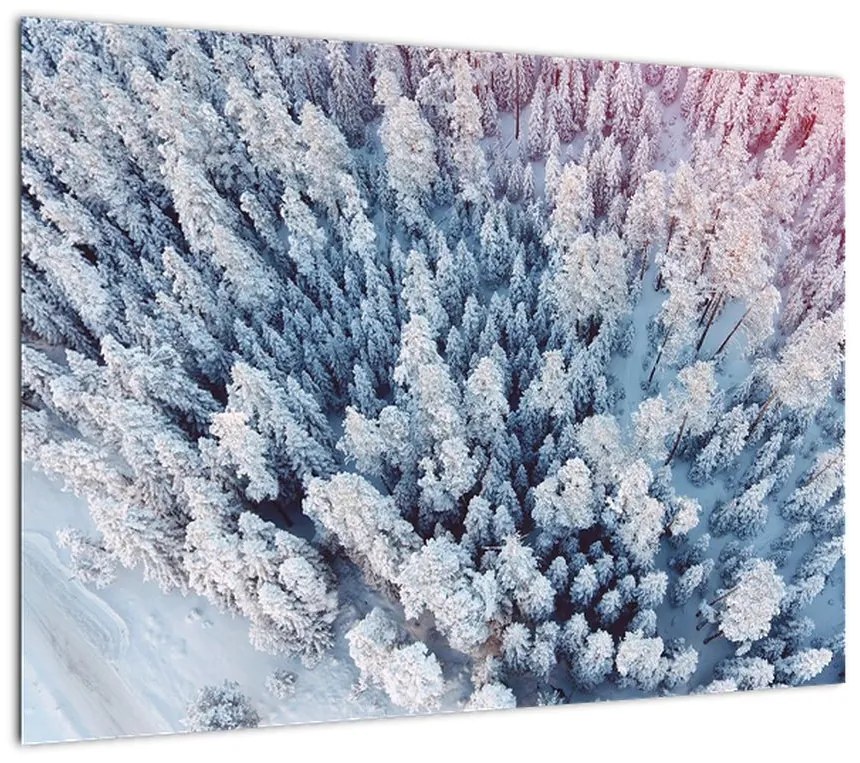 Obraz na szkle ośnieżonych drzew (70x50 cm)