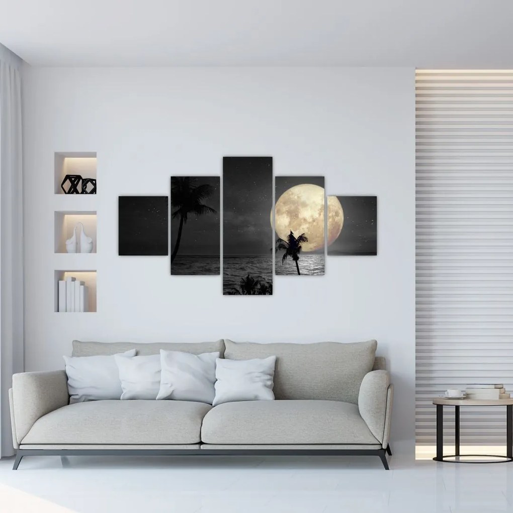 Obraz - Plaża pod pełnią księżyca w odcieniach szarości (125x70 cm)