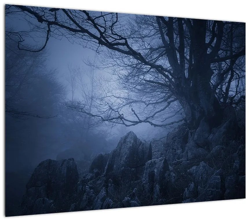Obraz na szkle ciemnego lasu (70x50 cm)