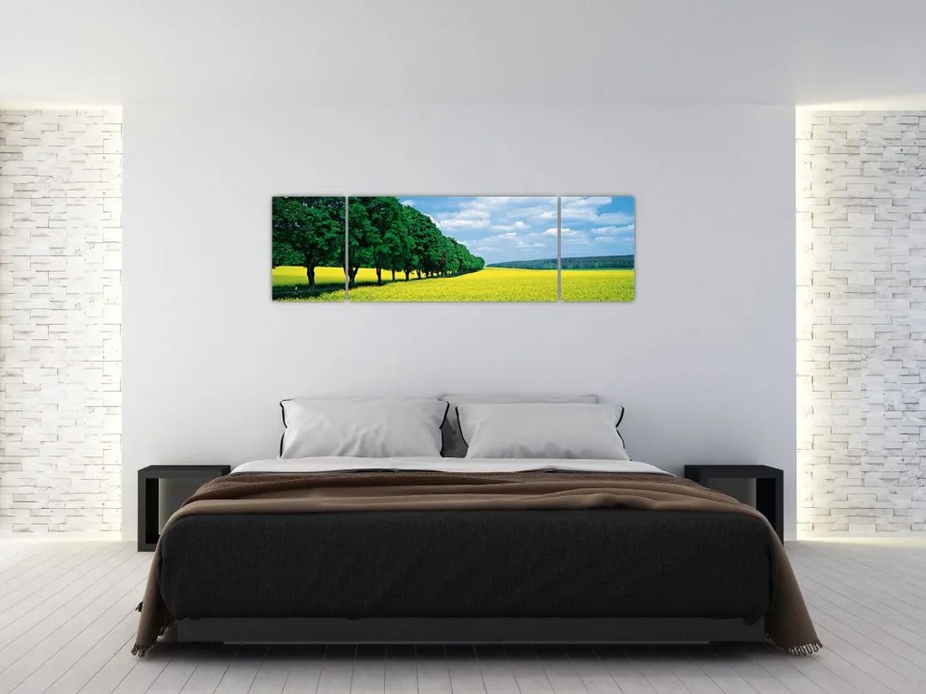 Obraz pola z aleją (170x50 cm)